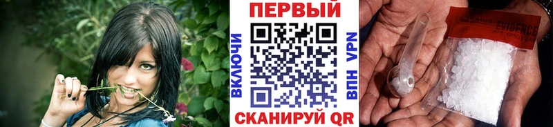 купить наркотики сайты  hydra как войти  Первитин Декстрометамфетамин 99.9%  дарк нет наркотические препараты  Райчихинск 