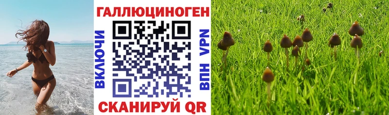 даркнет сайт  Райчихинск  Галлюциногенные грибы прущие грибы 